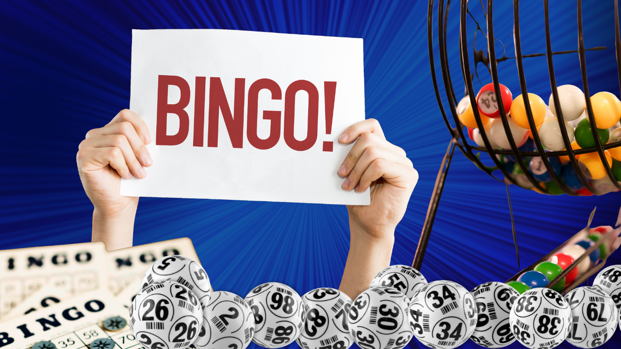 bingo online casino